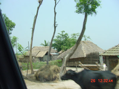 India Homes